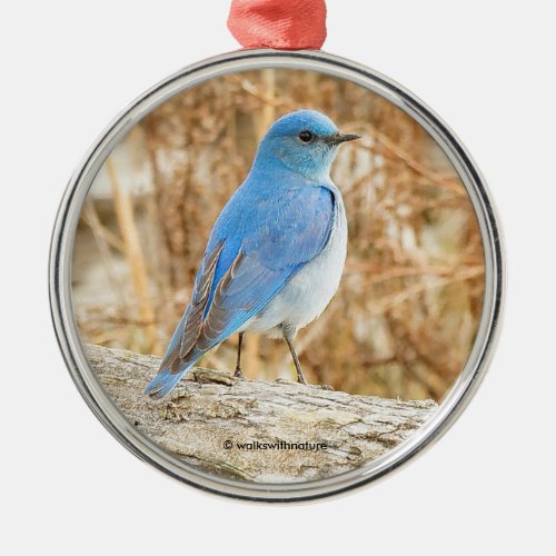 Beautiful Mountain Bluebird Songbird on Log Metal Ornament
