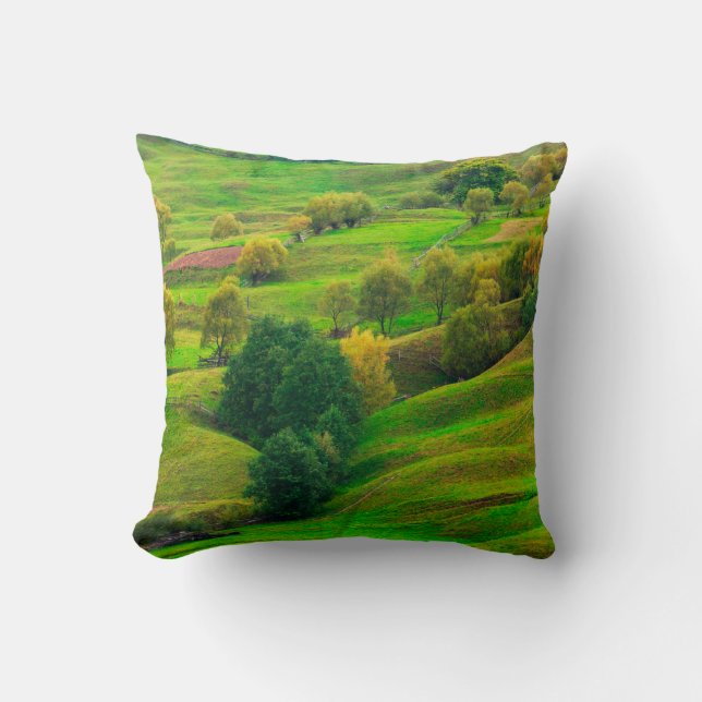 Beautiful mountain landscape in evening sunlight.  throw pillow (Front)