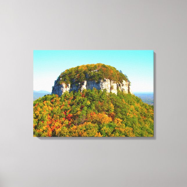 Beautiful Mountain Scenery Canvas Print (Front)