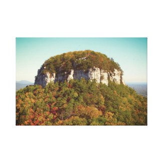 Beautiful Mountain Scenery