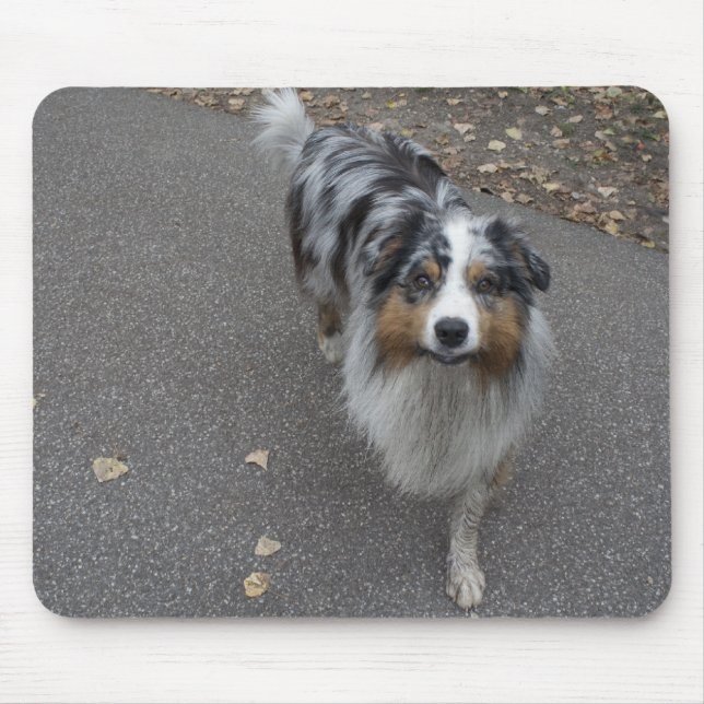 Beautiful Multi-colored Aussie Mouse Pad (Front)