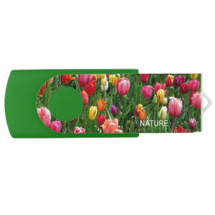 Beautiful multicolored tulip flowers flash drive