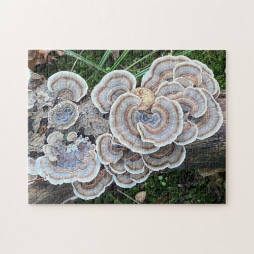 Beautiful Mushroom Madness Jigsaw Puzzle