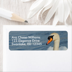 Beautiful Mute Swan in Harbor Waters Label