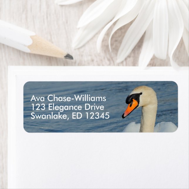 Beautiful Mute Swan in Harbor Waters Label (Insitu)