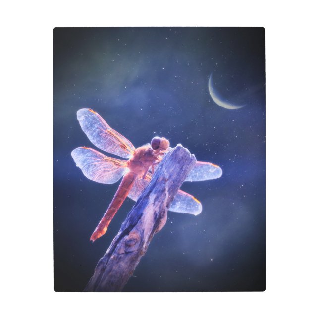 Beautiful Mystical Dragonfly and Crescent Moon Metal Print (Front)