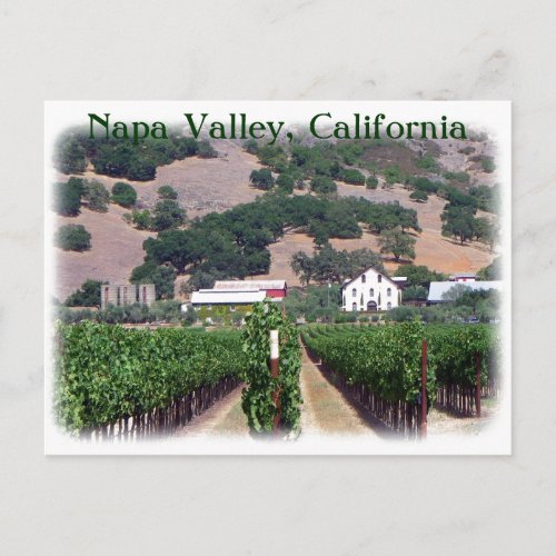 Beautiful Napa Valley Postcard Postcard