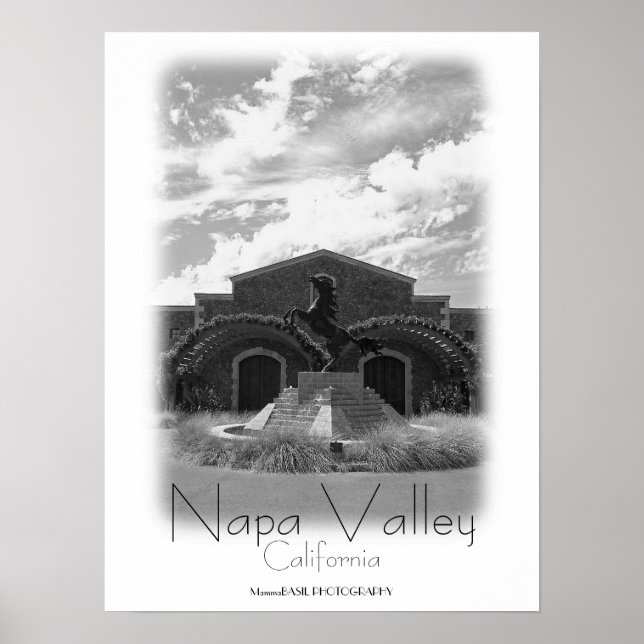 Beautiful Napa Valley Poster! Poster (Front)