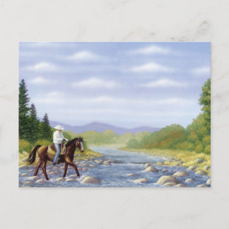 BEAUTIFUL NATIVE AMERICAN POSTCARD