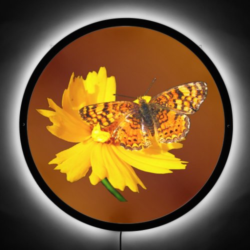 Beautiful Natural Orange Butterfly LED Sign