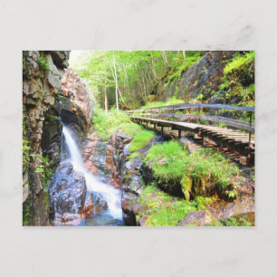 Beautiful Natural Waterfall Scenery NH Postcard