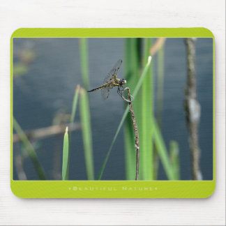 Beautiful Nature: Dragonfly Mouse Pad