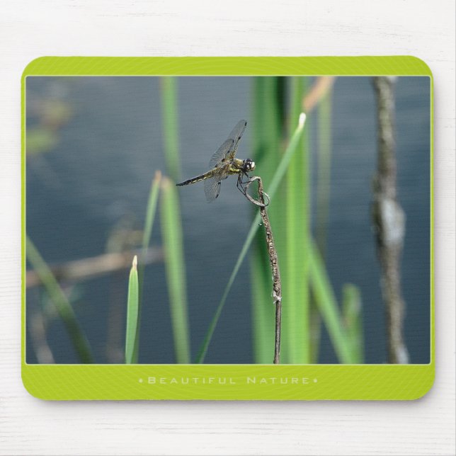 Beautiful Nature: Dragonfly Mouse Pad (Front)
