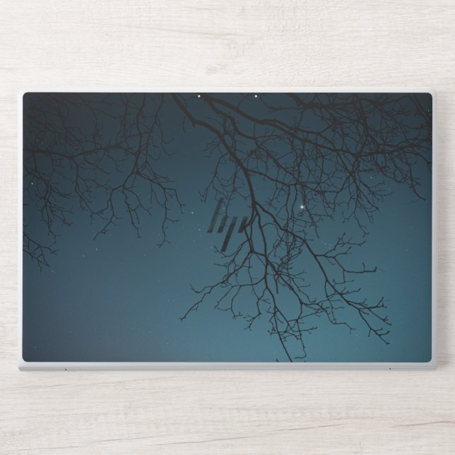 Beautiful nature HP laptop skin (Front)