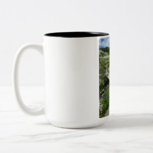 Beautiful Nature Landscape Two-Tone Coffee Mug