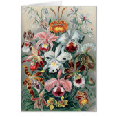 Beautiful Nature - Orchids (Front)