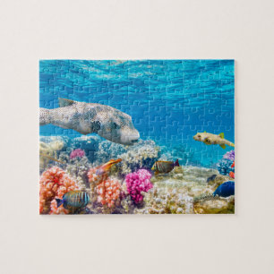 Beautiful nature underwater sea world jigsaw puzzle