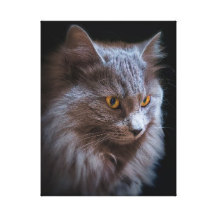 Long Haired Russian Blue Cat Wall Art & Décor | Zazzle