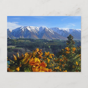 Beautiful New Zealand Postcard