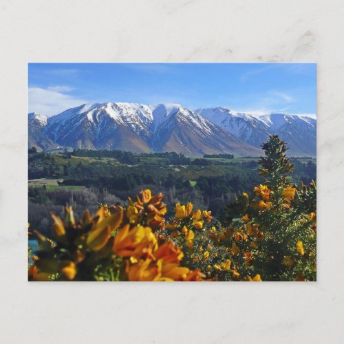 Beautiful New Zealand Postcard