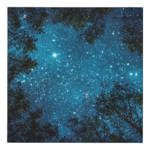 Beautiful night sky, the Milky Way and the trees.  Faux Canvas Print