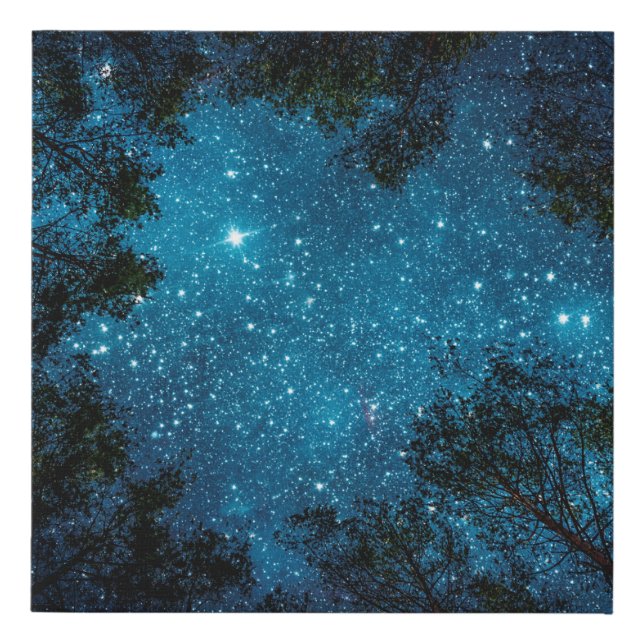 Beautiful night sky, the Milky Way and the trees.  Faux Canvas Print (Front)