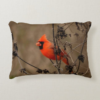 Beautiful Northern Cardinal  Accent Pillow