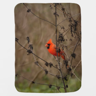 Beautiful Northern Cardinal  Baby Blanket