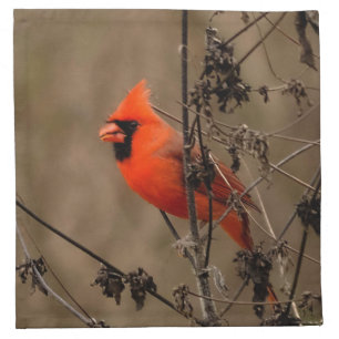 Beautiful Northern Cardinal Cloth Napkin