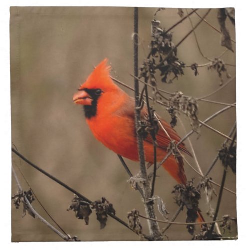 Beautiful Northern Cardinal  Cloth Napkin