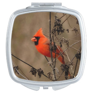 Beautiful Northern Cardinal  Compact Mirror