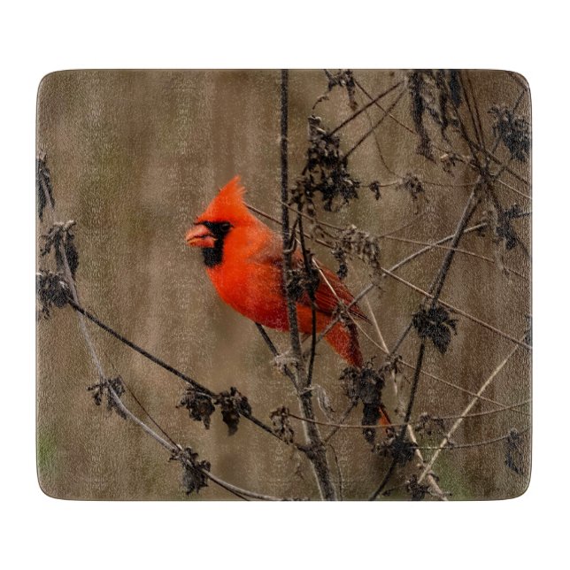 Beautiful Northern Cardinal  Cutting Board (Front)