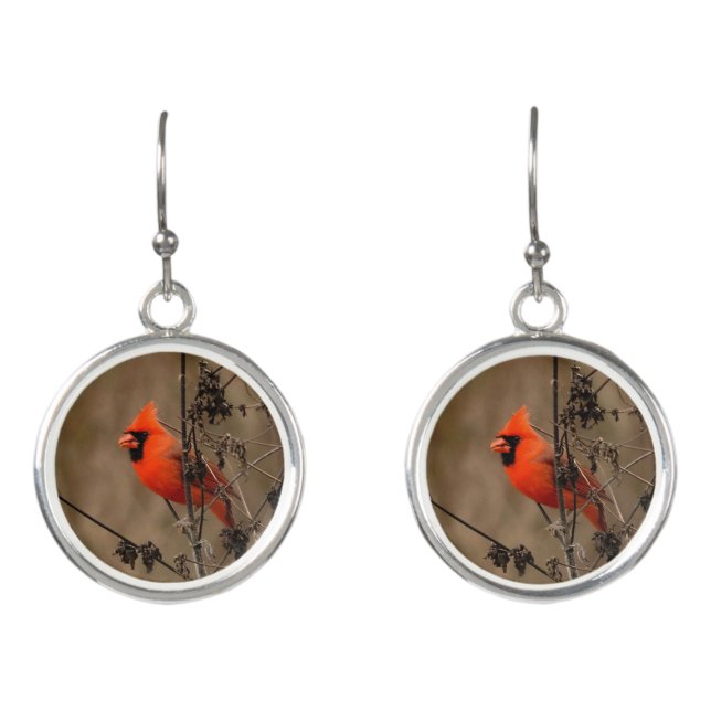 Beautiful Northern Cardinal  Earrings (Front)