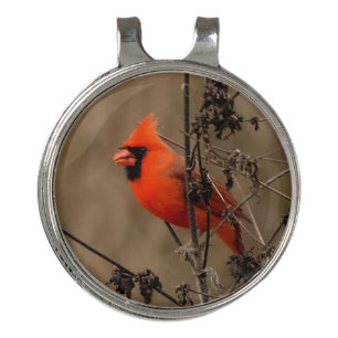 Beautiful Northern Cardinal Golf Hat Clip