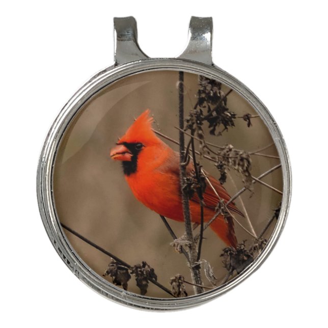 Beautiful Northern Cardinal Golf Hat Clip (Front)