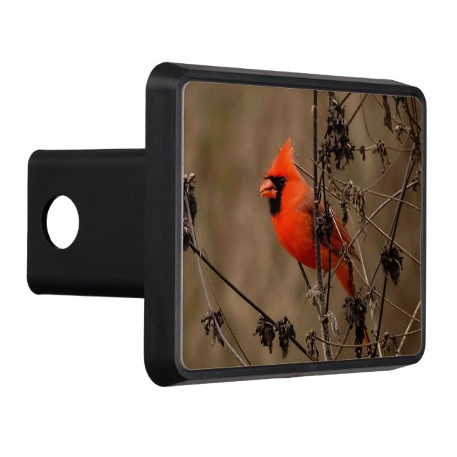 Beautiful Northern Cardinal  Hitch Cover (Right)