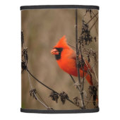 Beautiful Northern Cardinal  Lamp Shade (Front)