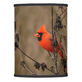 Beautiful Northern Cardinal Lamp Shade
