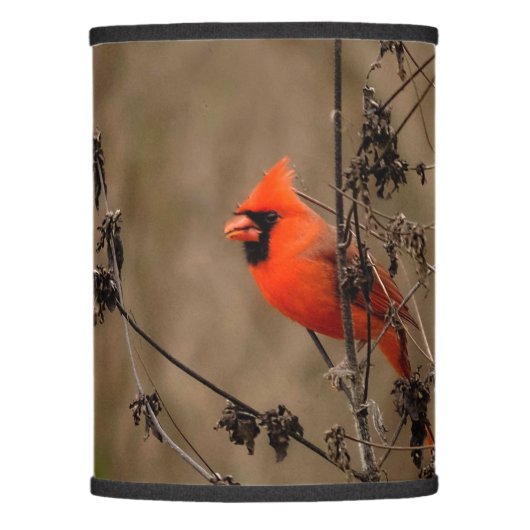 Beautiful Northern Cardinal  Lamp Shade (Front)