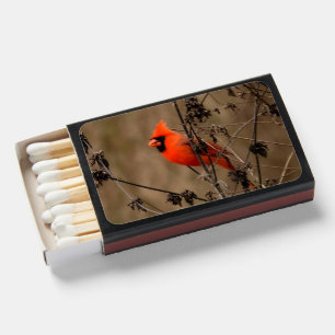 Beautiful Northern Cardinal  Matchboxes
