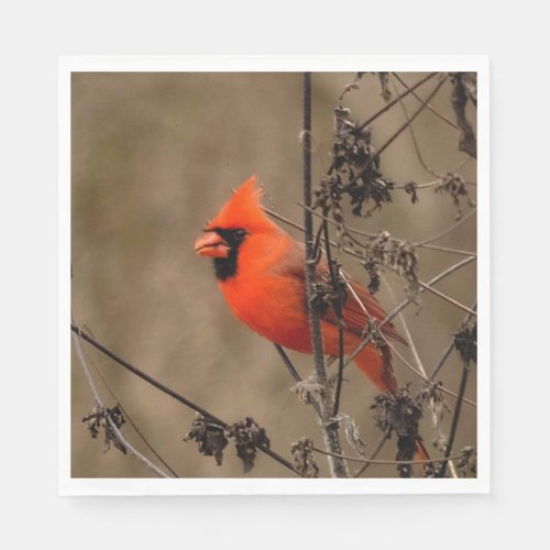Beautiful Northern Cardinal  Napkins
