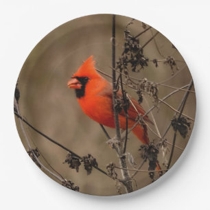 Beautiful Northern Cardinal Paper Plates