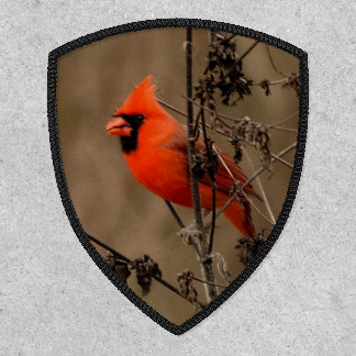 Beautiful Northern Cardinal Patch