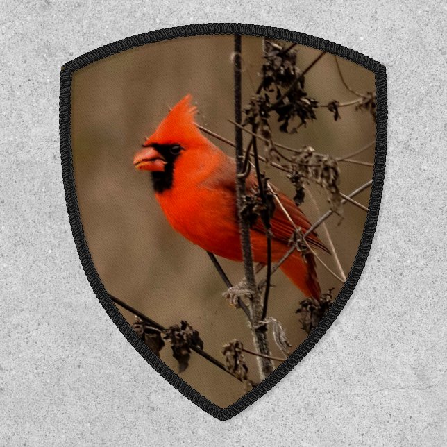 Beautiful Northern Cardinal  Patch (Front)
