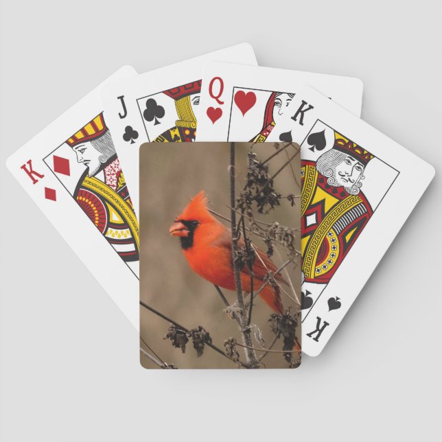 Beautiful Northern Cardinal Personal Poker Cards (Back)