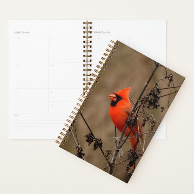 Beautiful Northern Cardinal Planner (Display)