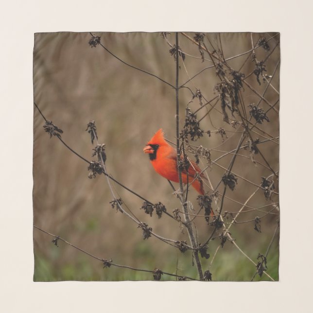 Beautiful Northern Cardinal  Scarf (Front)