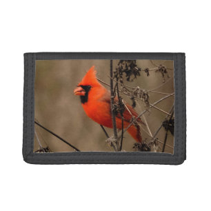 Beautiful Northern Cardinal Trifold Wallet