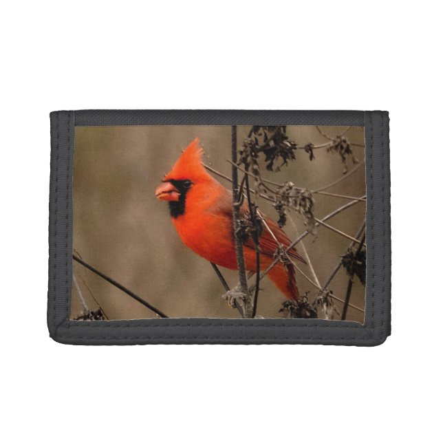 Beautiful Northern Cardinal  Trifold Wallet (Front)