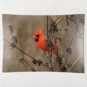 Beautiful Northern Cardinal Trinket Tray